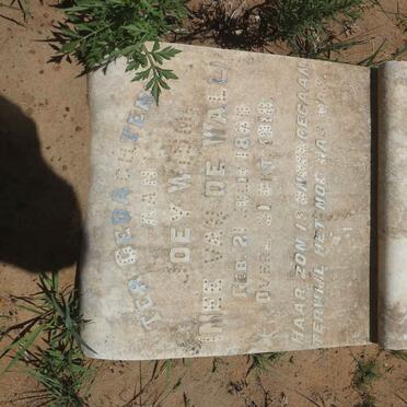 WIUM Joey nee VAN DE WALL 1889-1918