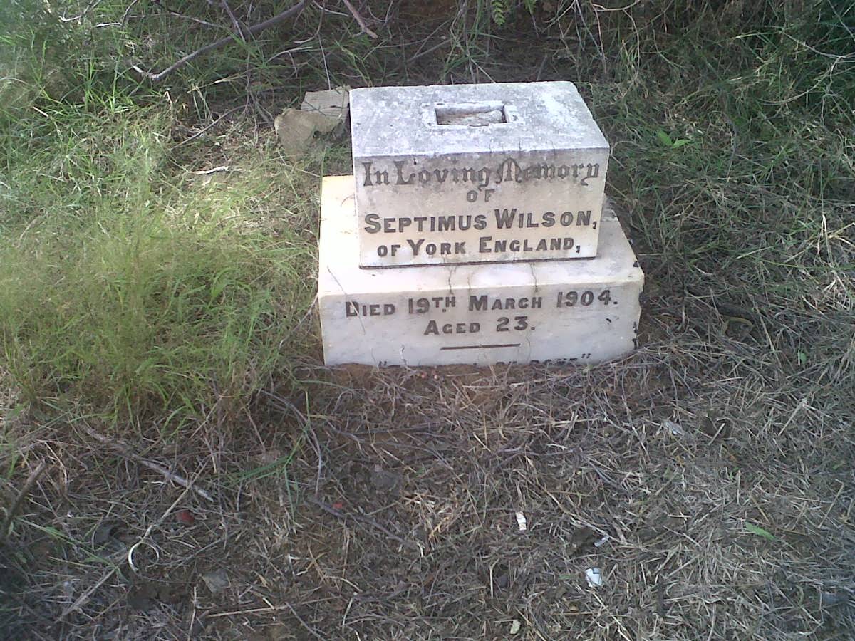 WILSON Septimus -1904