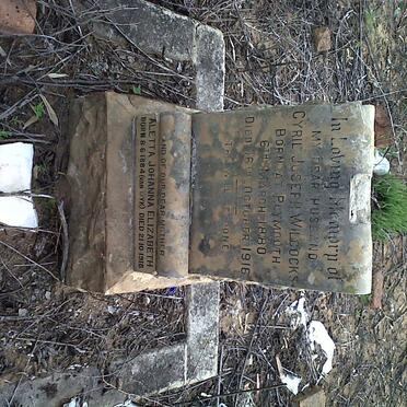 WILCOCKS Cyril Joseph 1880-1916 &amp; Aletta Johanna Elizabeth VAN DYK 1884-1918