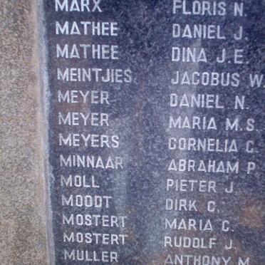 131. People over the age of 15 years