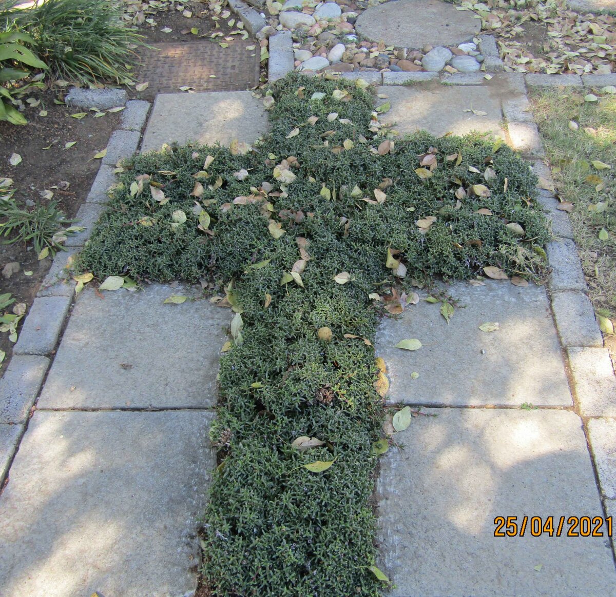 5. Overview / Oorsig