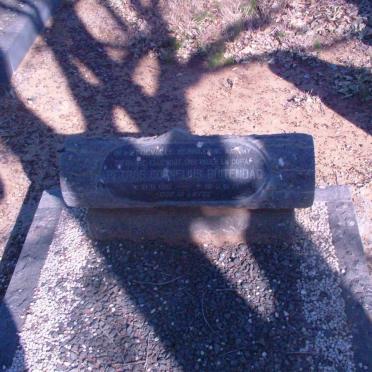 BUITENDAG Petrus Cornelius 1910-1970