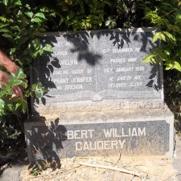 Ca - Surnames starting with the letters Ca