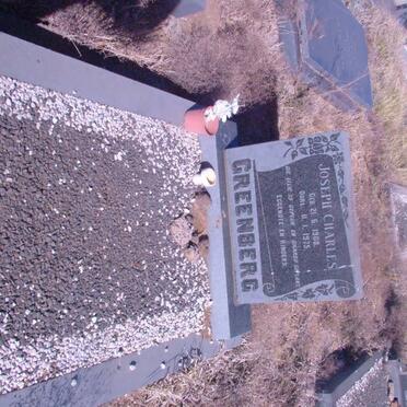 GREENBERG Joseph Charles 1908-1975