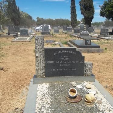 GROENEWALD Cornelia A. nee COLEMAN 1907-1958