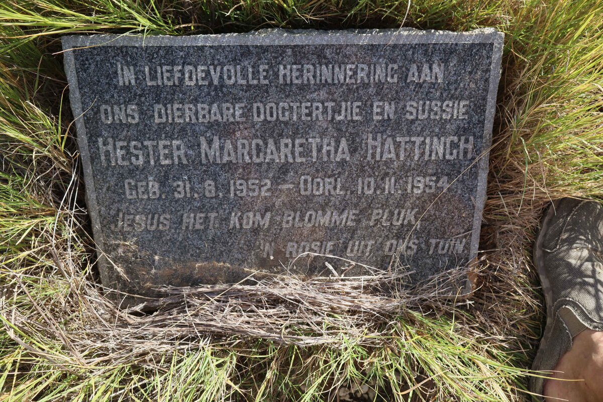 HATTINGH Hester Margaretha 1952-1954