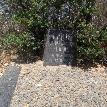 LAKIE Elaine 1955-1956