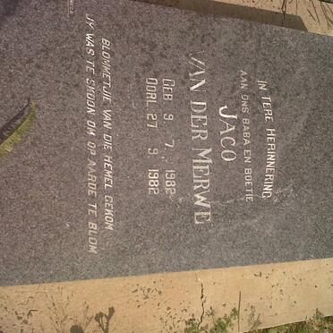 MERWE Jaco, van der 1982-1982