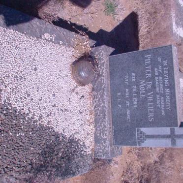 MOLL Pieter de Villiers -1964