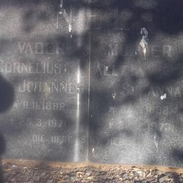 Ne - Surnames starting with the letters Ne