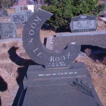 ROUX Koos, le 1954-1978