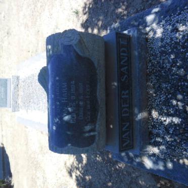 SANDT Jan Harm, van der 1904-1961