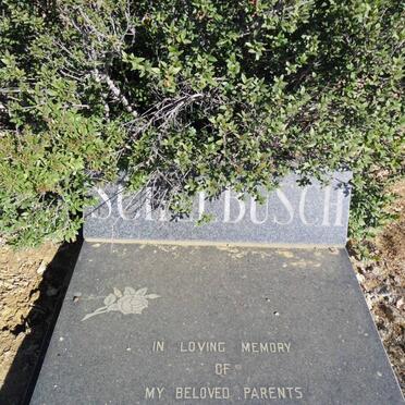 SCHLEBUSCH ? &amp; ?