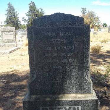 STEYN Anna Maria nee BARNARD 1905-1941