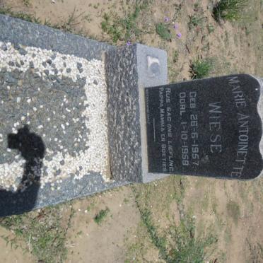 WIESE Marie Antoinette 1957-1958