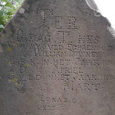 DOWNEY William 183?-1898