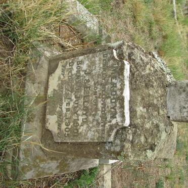 LLOYD Merddyn 1901-1905