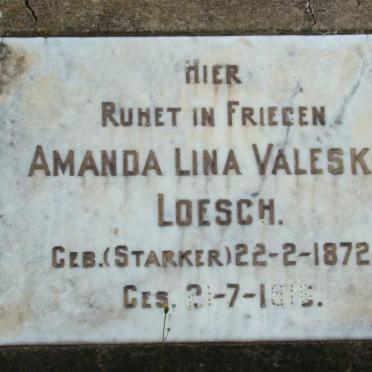 Free State, LADYBRAND district, Don Don 52, Don Don River Mill Lodge, farm cemetery