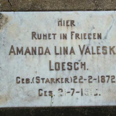 Free State, LADYBRAND district, Don Don 52, Don Don River Mill Lodge, farm cemetery