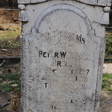 BROLI Peter William 1887-1918 :: ZYL Martha Catharina, van nee MULLER 1878-1931