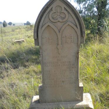 GEYSER Mattheus Johannes 1862-1919