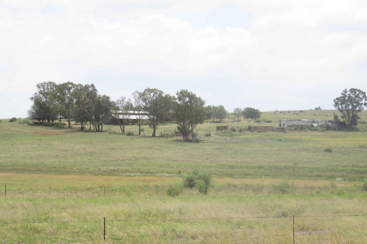 1. Overview / Oorsig