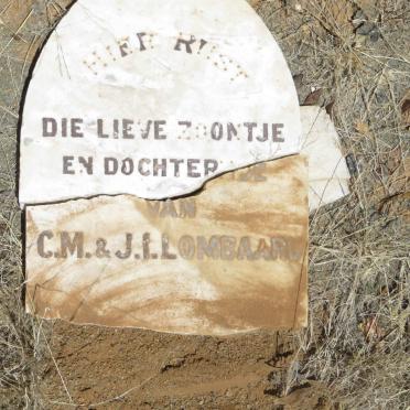 LOMBAARD ? :: LOMBAARD ?