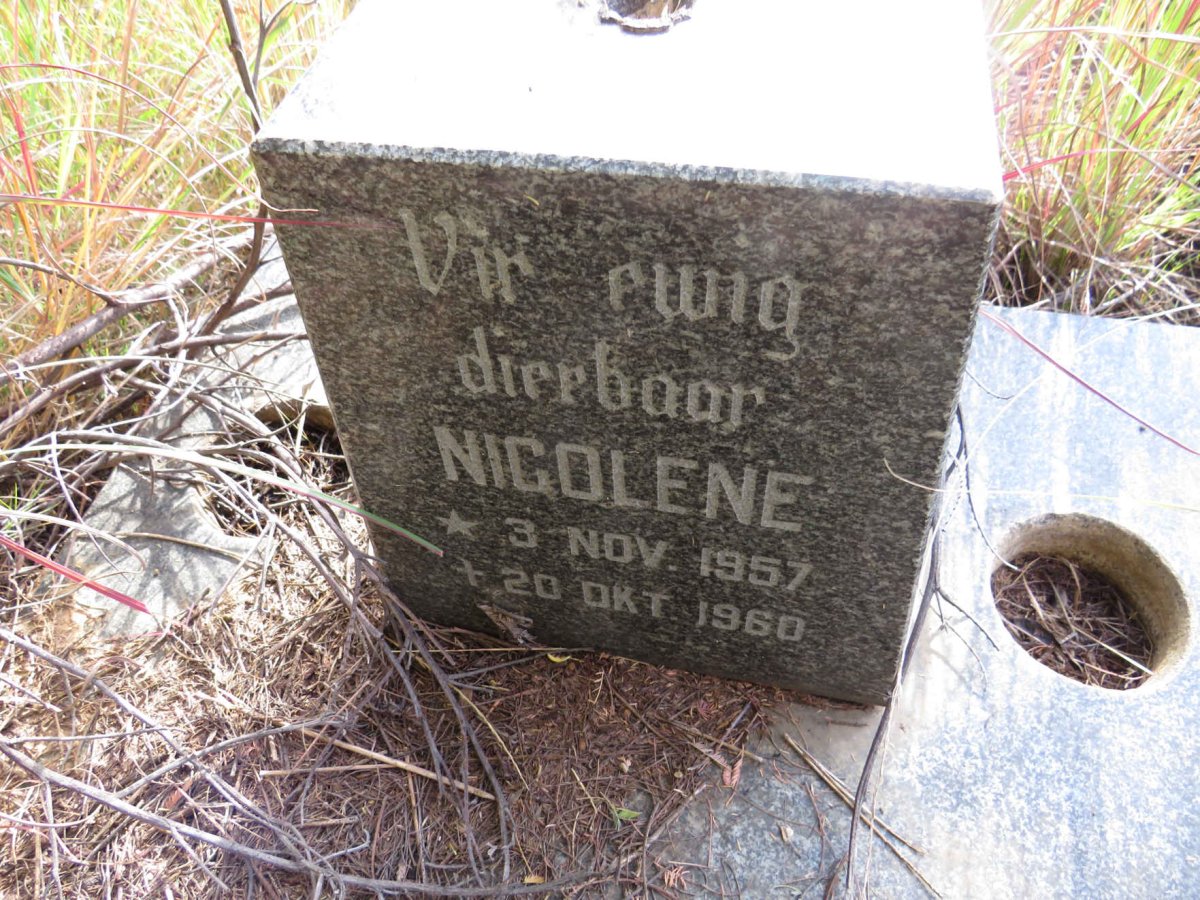 ? Nicolene 1957-1960