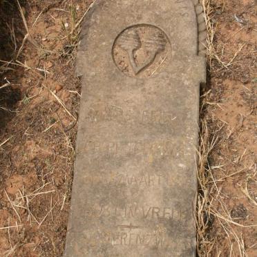 BRIEL Niklas 1868-1886