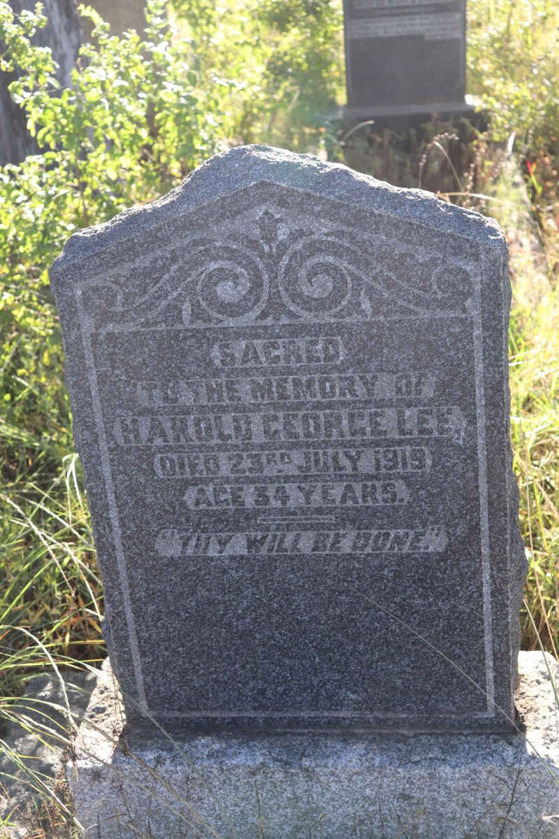 LEE Harold George -1919