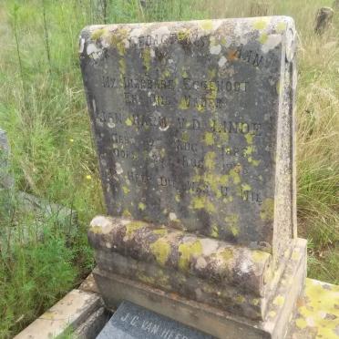 LINDE Jan Harm, v.d. 1885-1935 :: VAN HEERDEN J.G. nee DOUGLAS 1880-19??