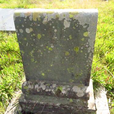 NAUDE Johannes D? 1867-