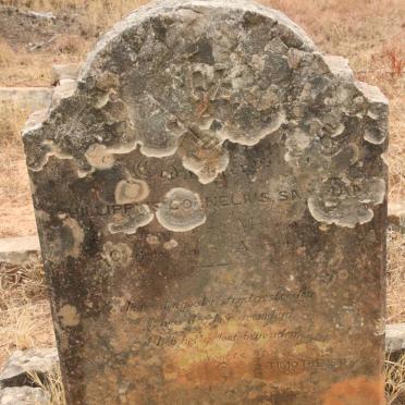 SNYMAN Phillippus Cornelius 1843-1896