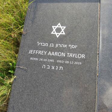 T - Vanne :: Surnames - T