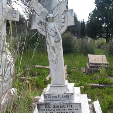 TURVEY Elizabeth 1864-1928