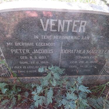 VENTER Pieter Jacobus 1887-1959 & Dorathea Magdalena CHANDLER 1890-1972