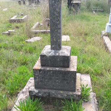 VAUGHAN Alice Elenora nee WILLIAMS 1861-1915