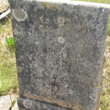 WELLBELOVED William James Travers &amp; Nellie 1870-1946