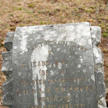 WOLDMANN Elizabeth Scott 1891-1892