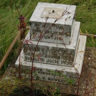 ASWEGEN Johan, v. 1926-1930