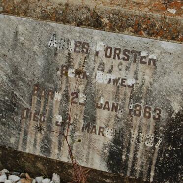 FOSTER Agnes nee BOWES 1863-1937