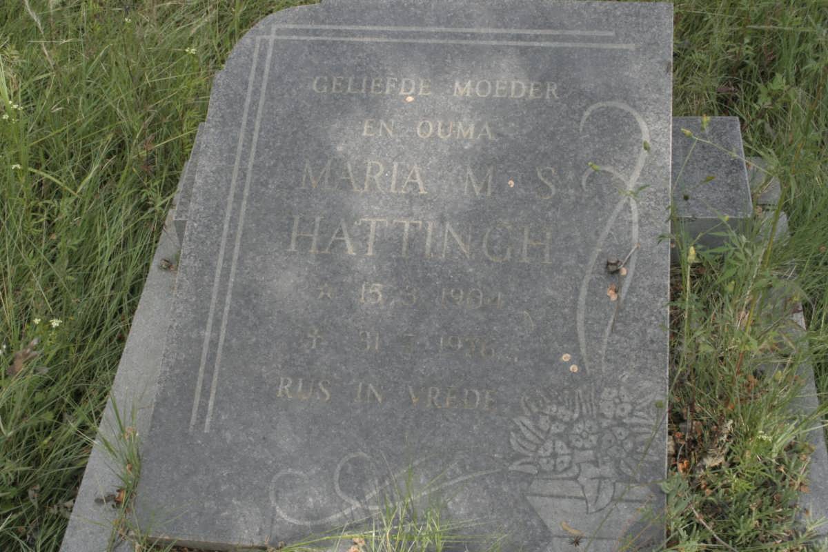 HATTINGH Maria M.S. 1904-1976