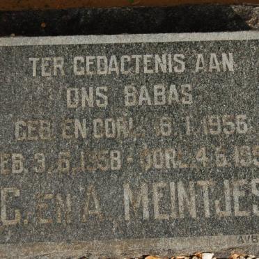 MEINTJES 1956-1956 :: MEINTJES 1958-1958