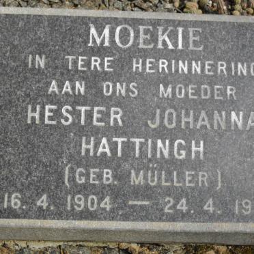 MULLER Frederick Johannes 1866-1957 :: HATTINGH Hester Johanna nee MüLLER 1904-1983