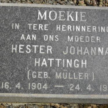 MULLER Frederick Johannes 1866-1957 :: HATTINGH Hester Johanna nee MüLLER 1904-1983