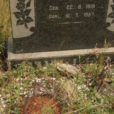 MüLLER Pieter 1919-1957