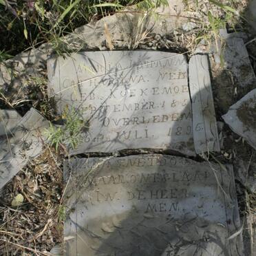 NEL Maria Johanna Catharina nee KOEKEMOER 1851-1896