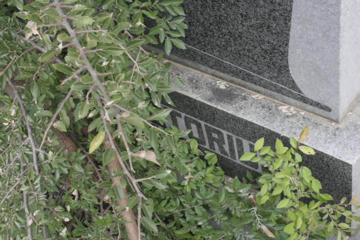 PRETORIUS ? Maria nee PRINSLOO 1894-1976