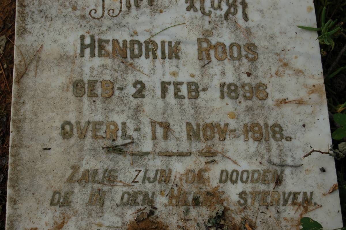 ROOS Hendrik 1896-1918
