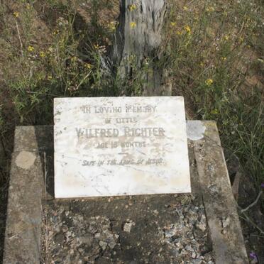 RICHTER Wilfred 